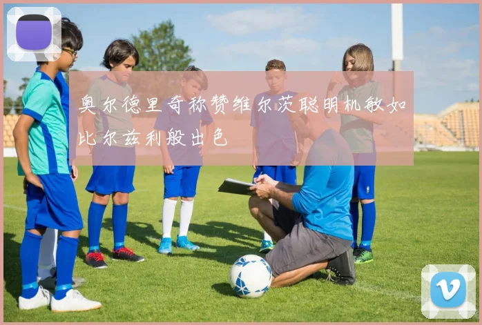 奥尔德里奇称赞维尔茨聪明机敏如比尔兹利般出色